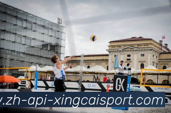 杏彩体育平台生态图