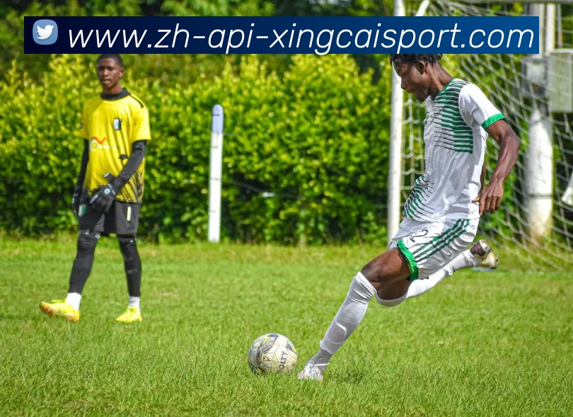 杏彩体育APP 封面图